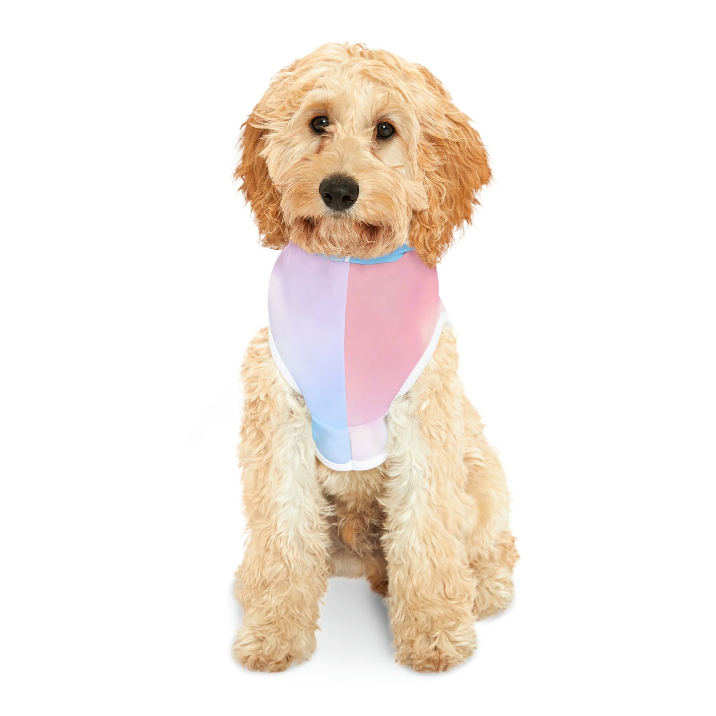 Swiftie-Inspired Pet Hoodie