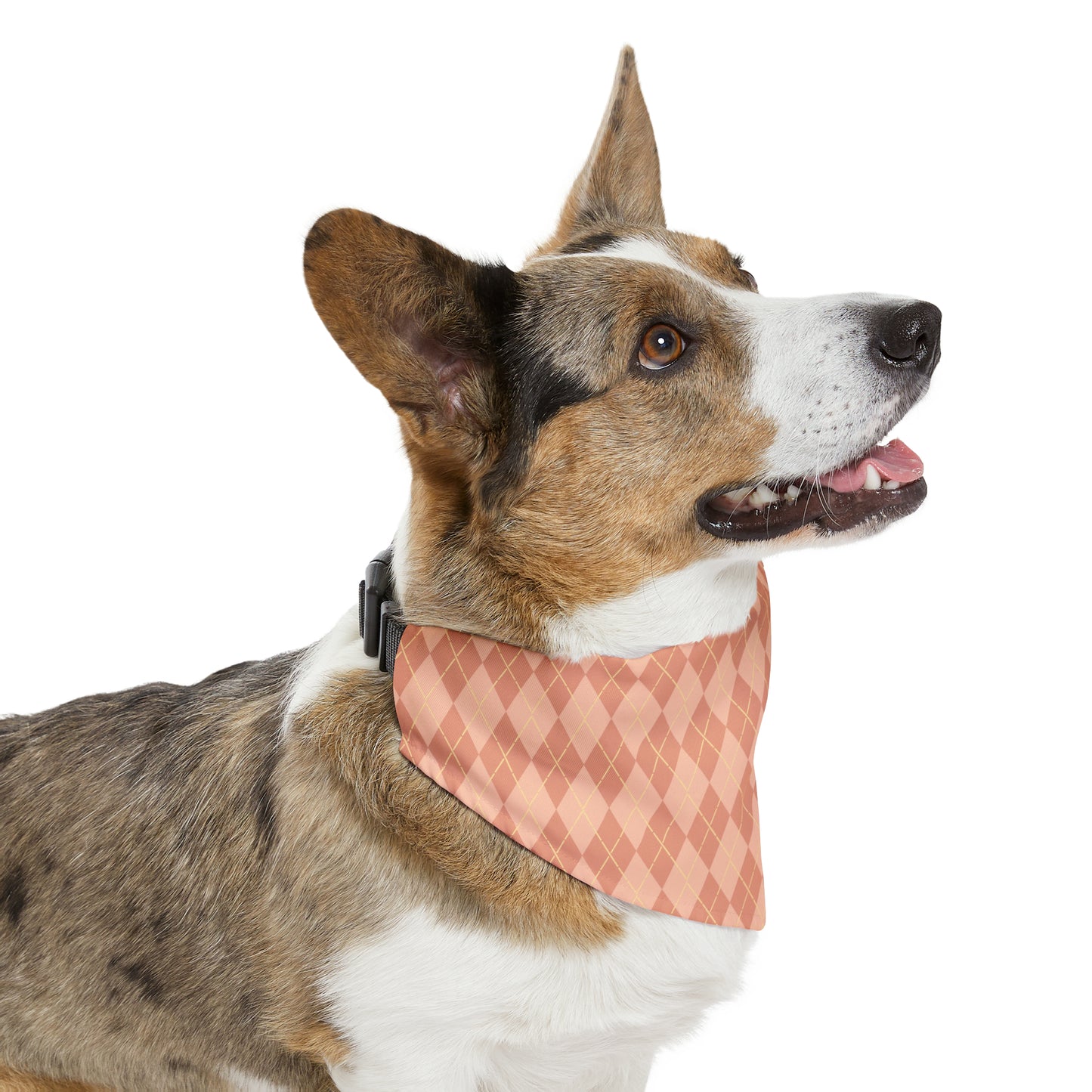 Coral Cascade Pet Bandana Collar