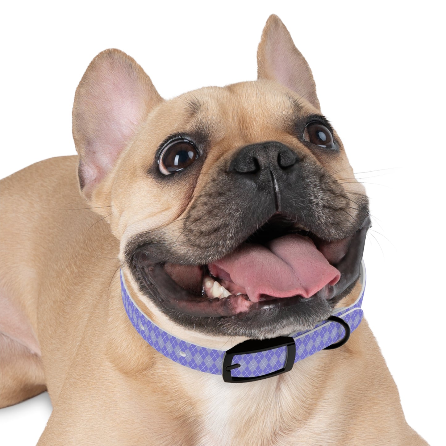 Periwinkle Dreams Dog Collar