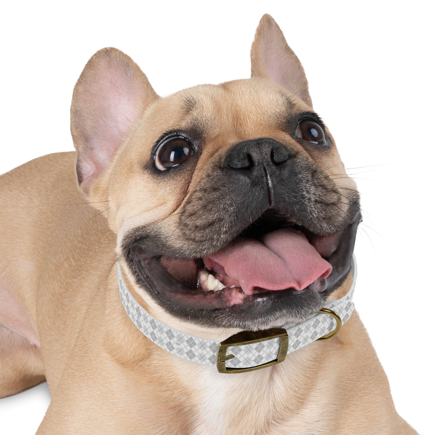 Soft Silver Dog Collar