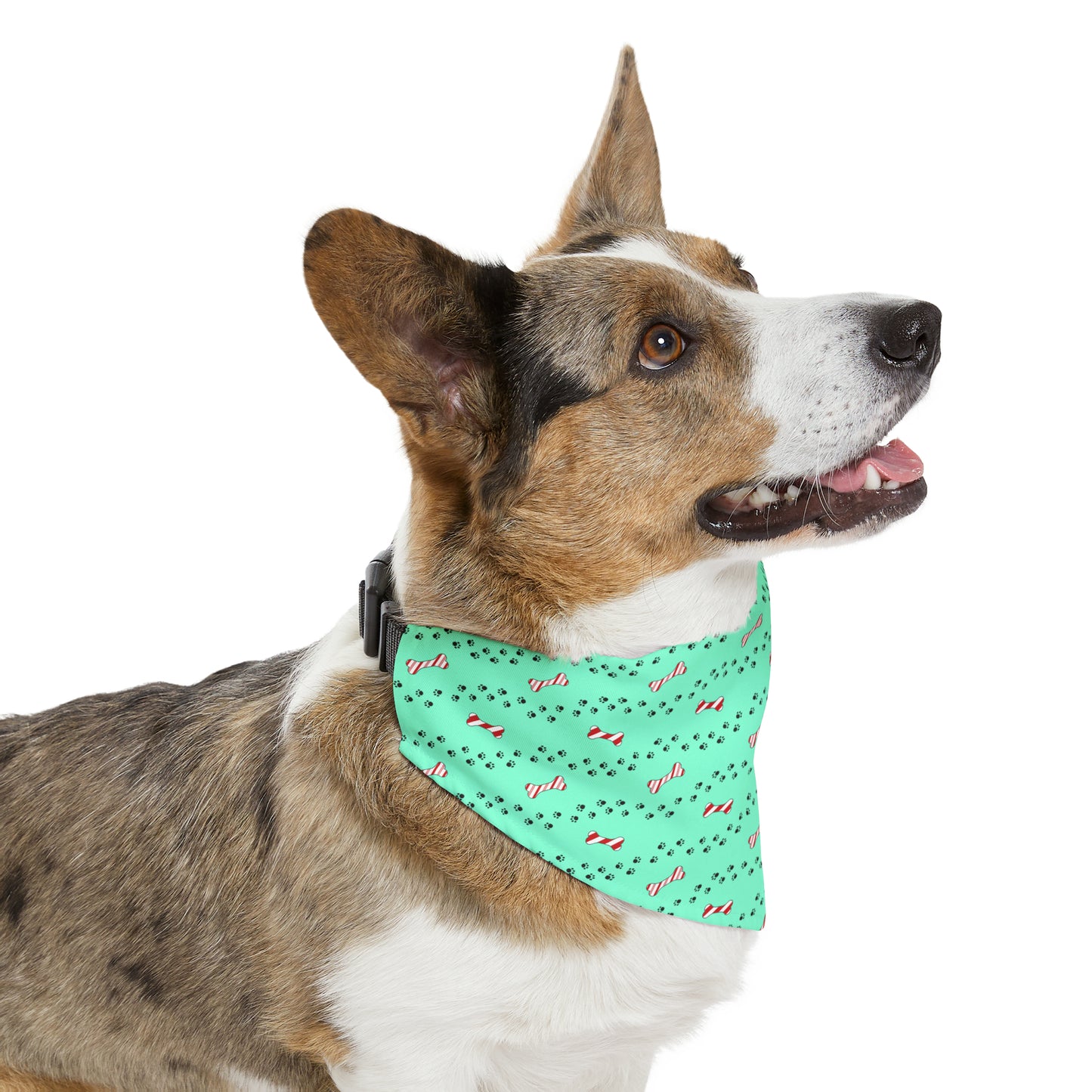 Candy Cane Bone Pet Bandana Collar