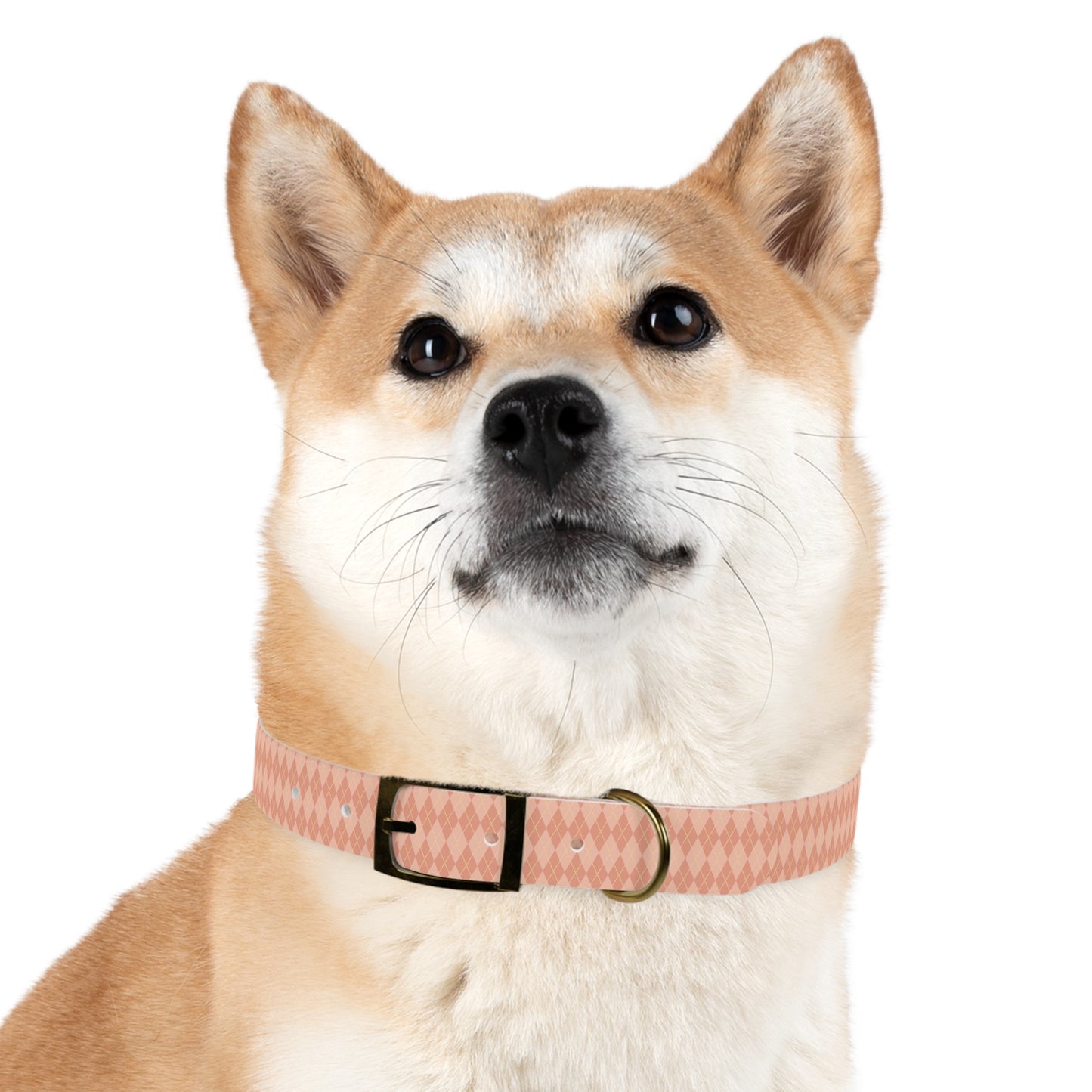 Coral Cascade Dog Collar