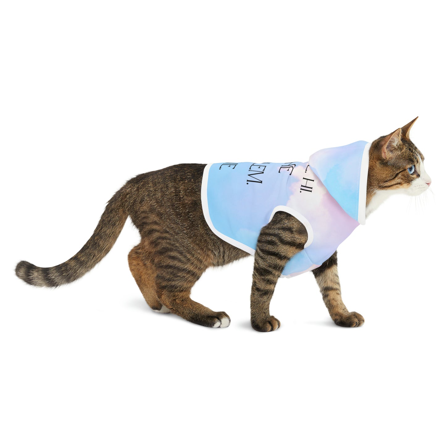 Swiftie-Inspired Pet Hoodie