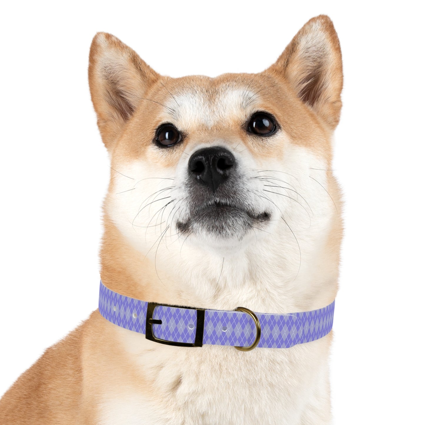 Periwinkle Dreams Dog Collar
