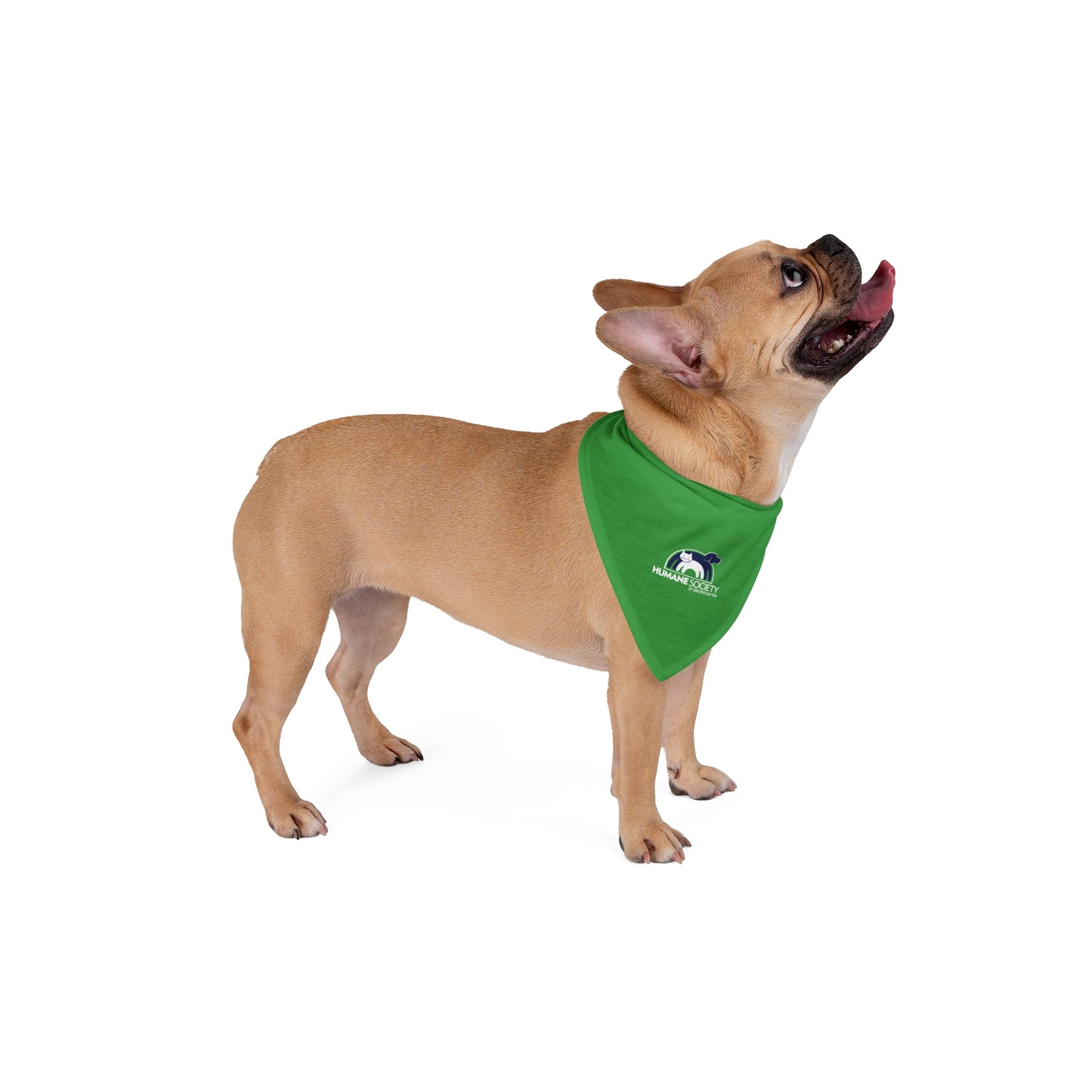 HSGD Green Pet Bandana