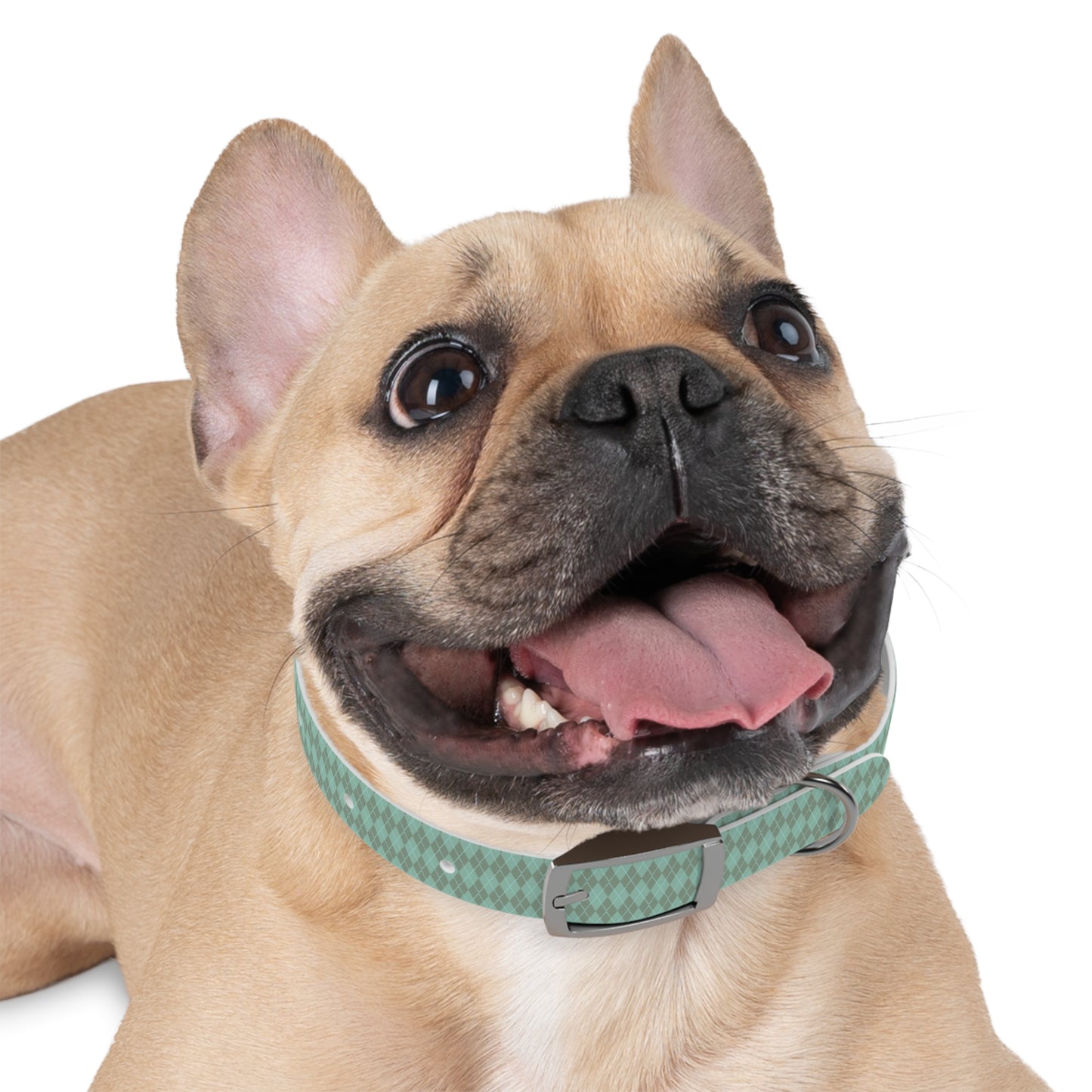 Matching Mint Dog Collar