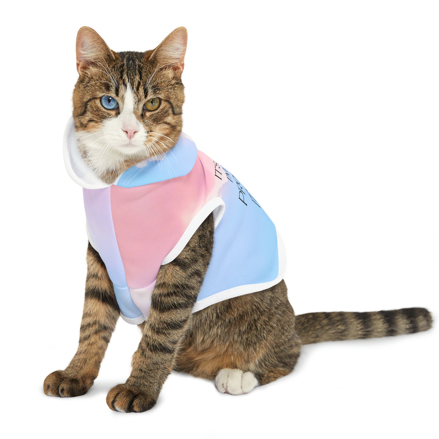 Swiftie-Inspired Pet Hoodie