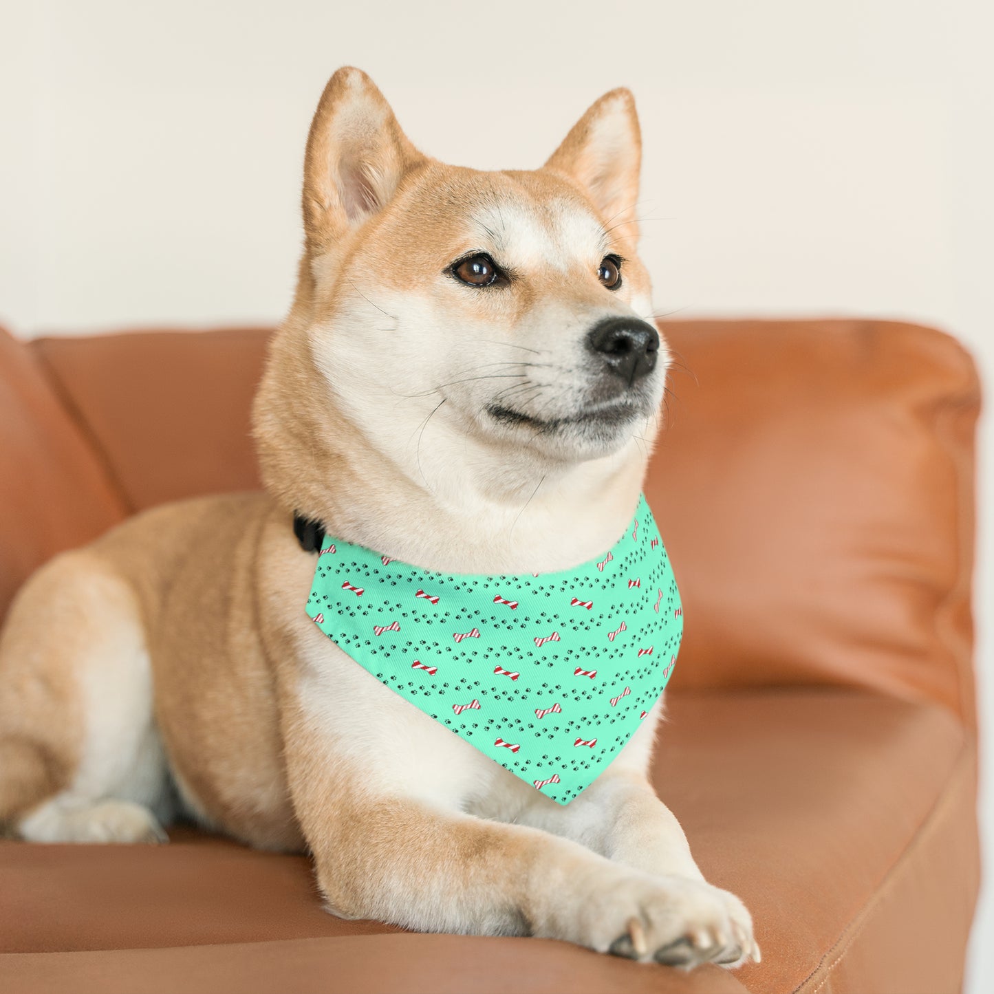 Candy Cane Bone Pet Bandana Collar