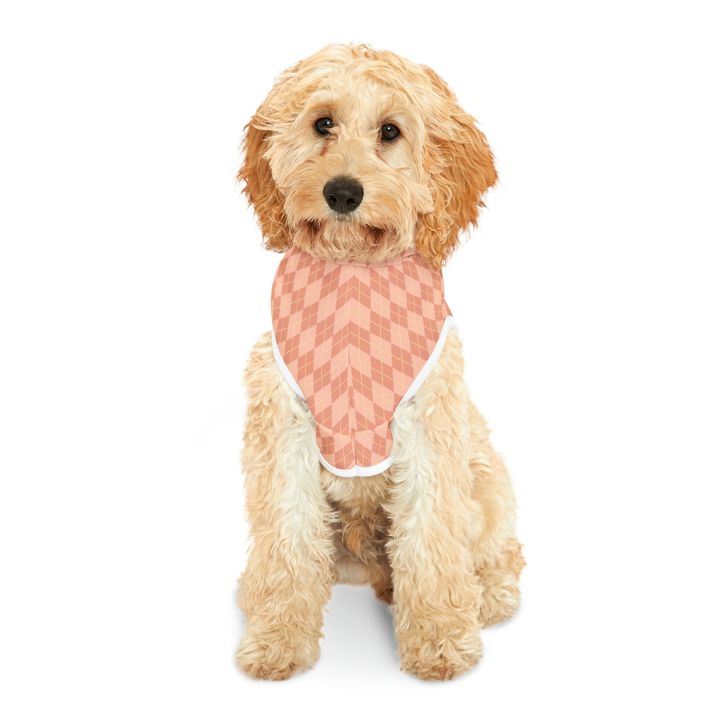 Coral Cascade Pet Hoodie