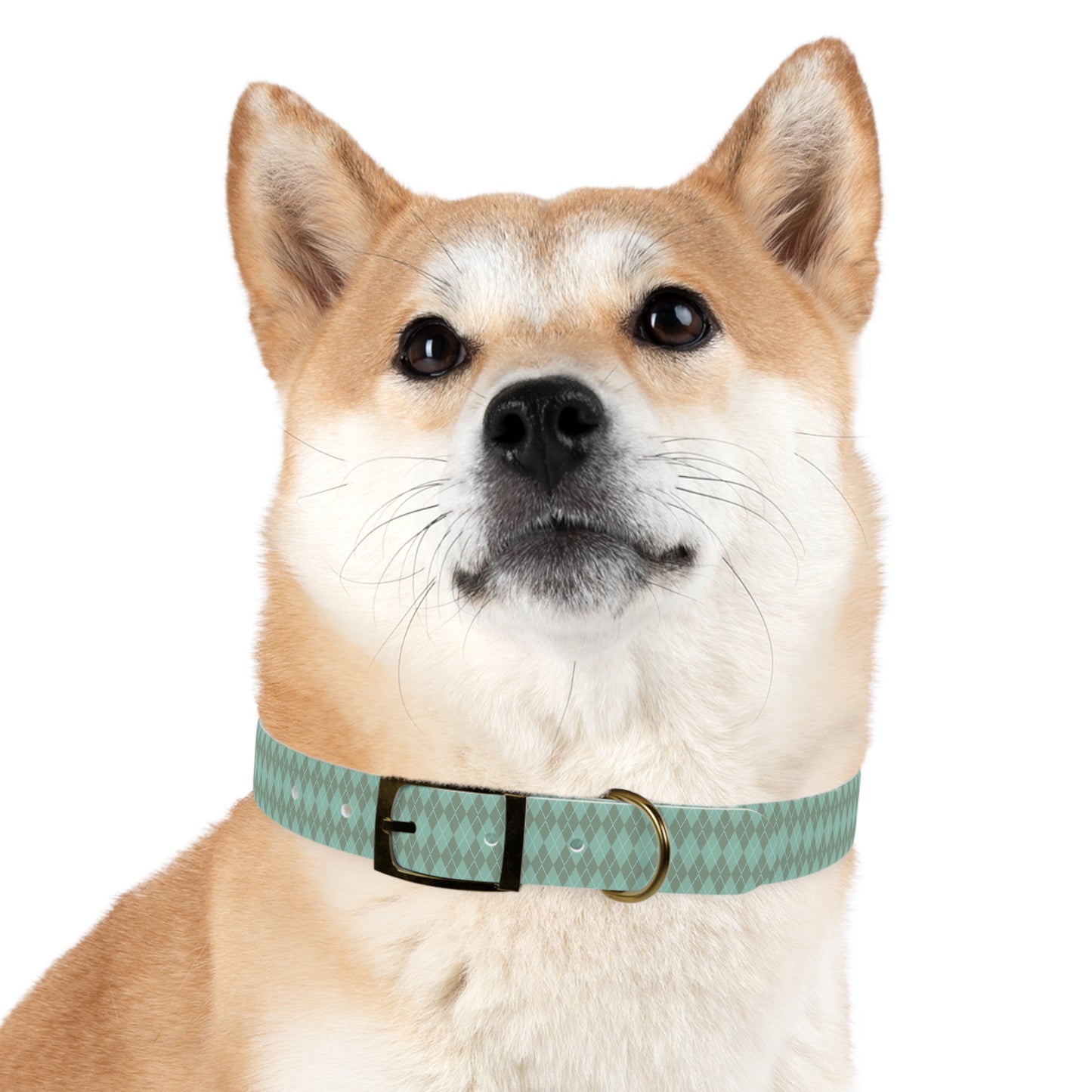Matching Mint Dog Collar