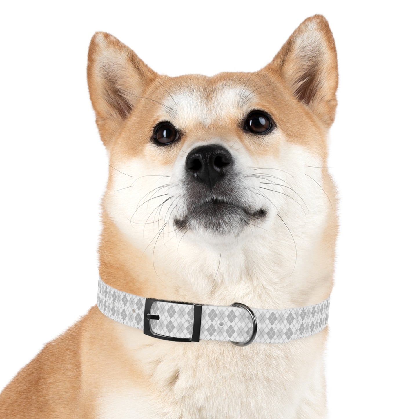 Soft Silver Dog Collar