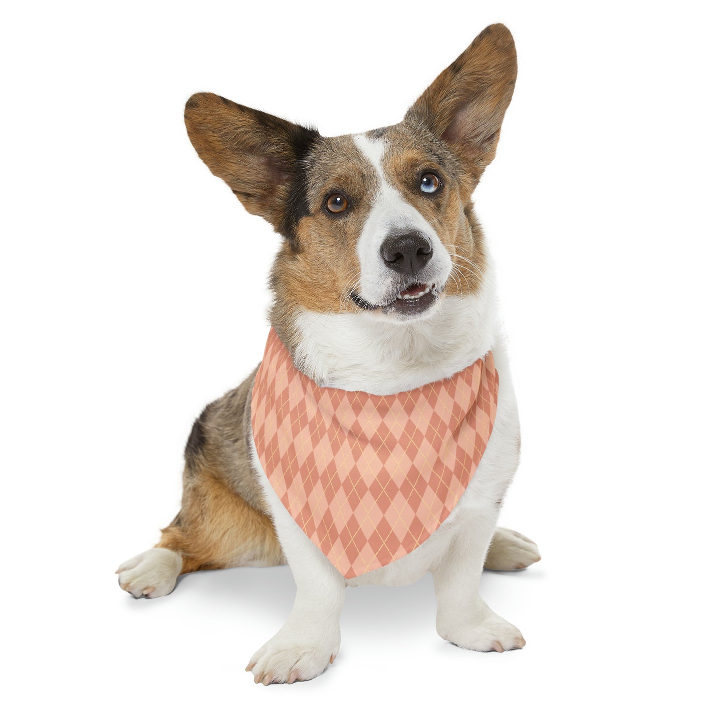 Coral Cascade Pet Bandana Collar