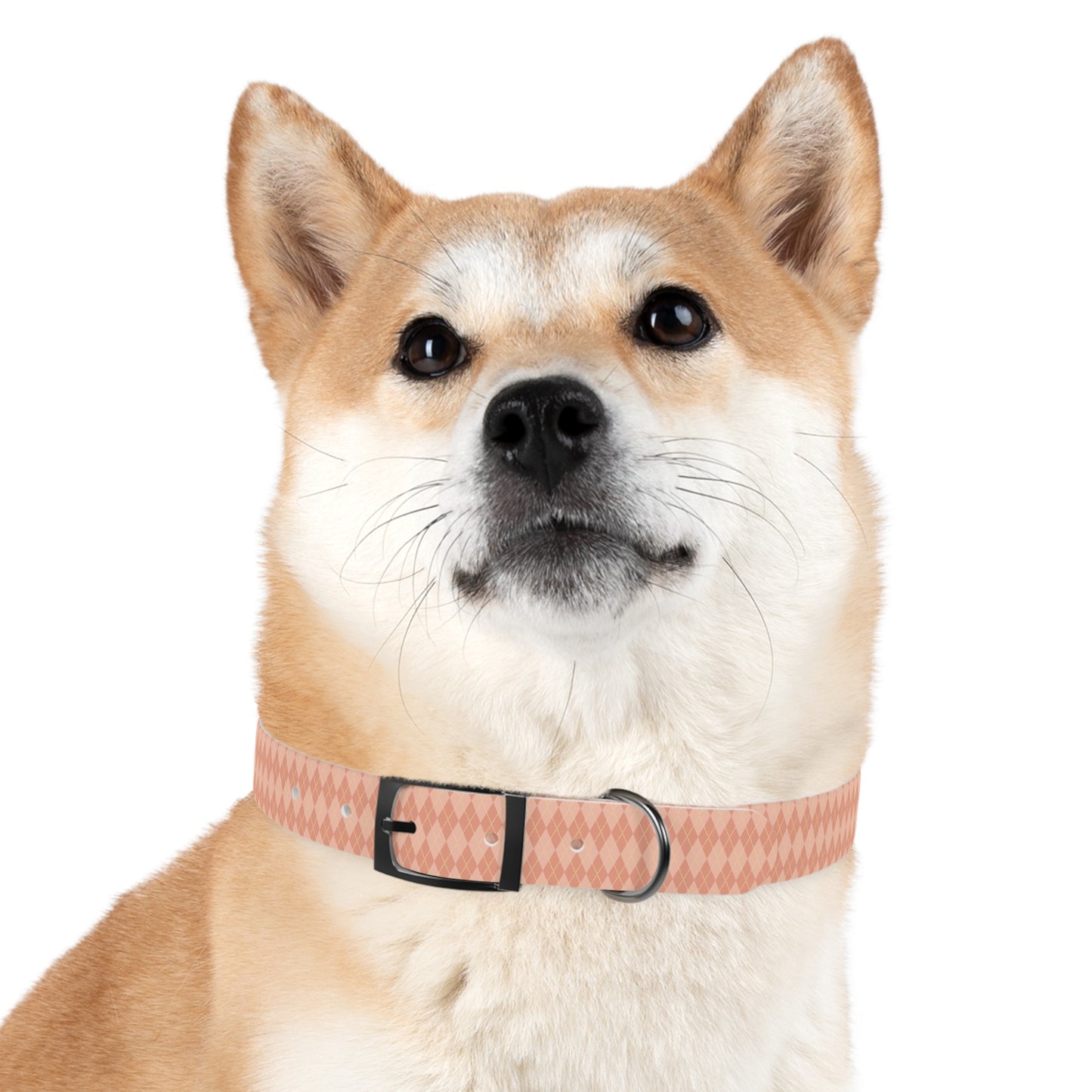 Coral Cascade Dog Collar