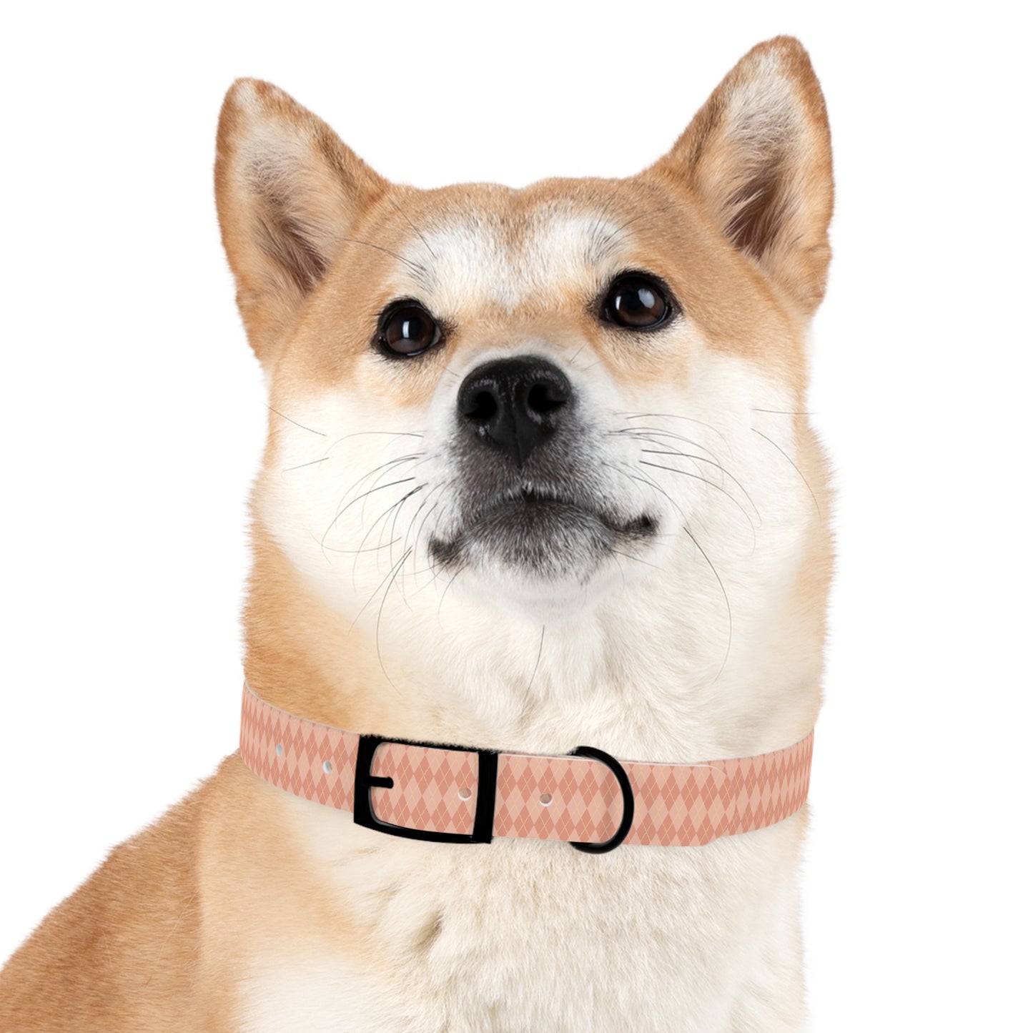 Coral Cascade Dog Collar