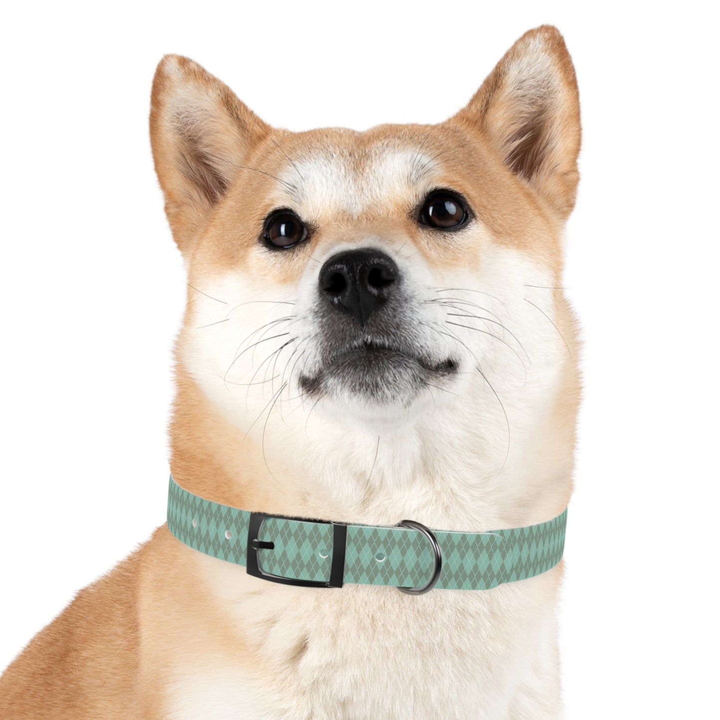Matching Mint Dog Collar