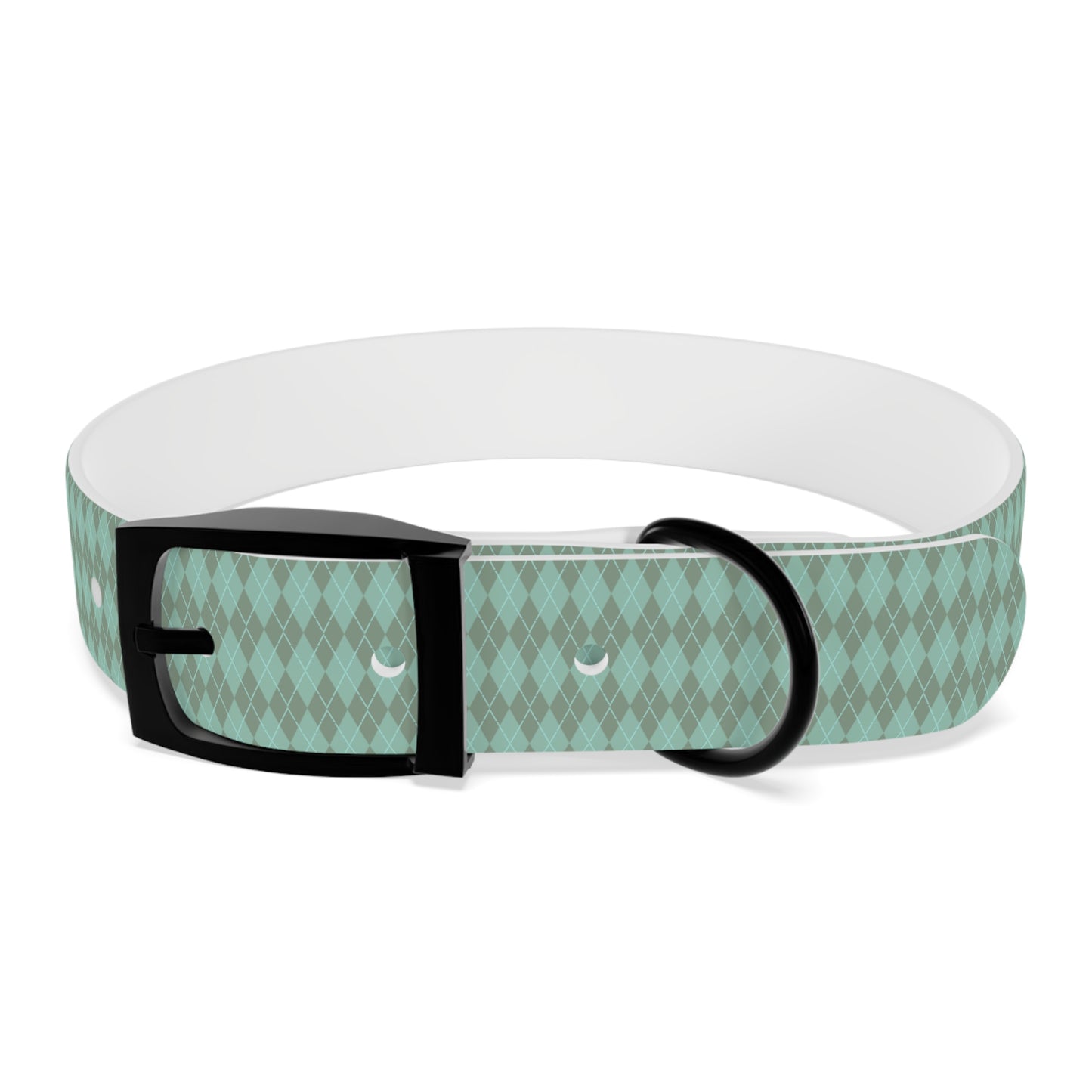 Matching Mint Dog Collar