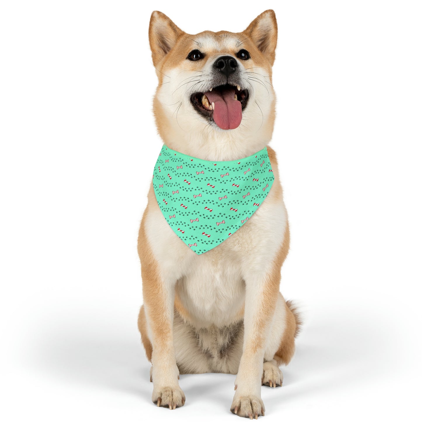 Candy Cane Bone Pet Bandana Collar