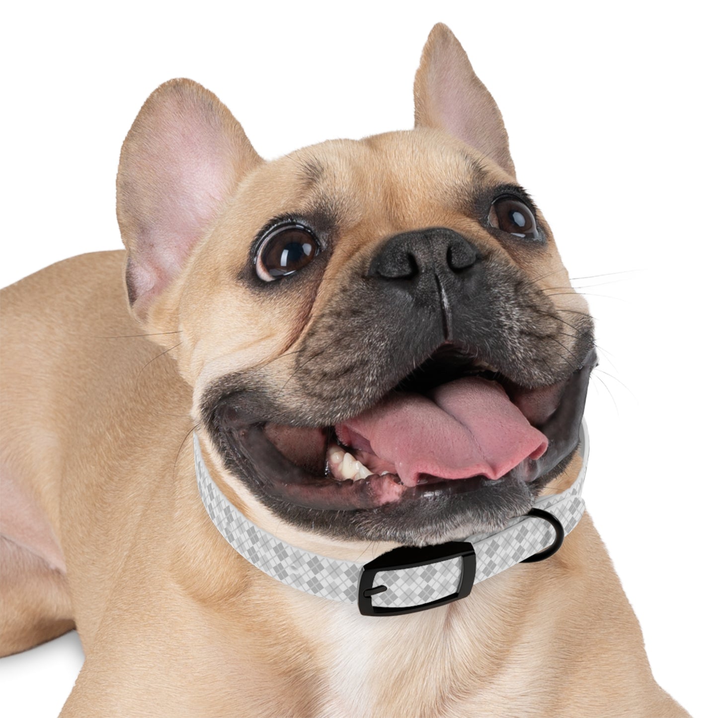 Soft Silver Dog Collar