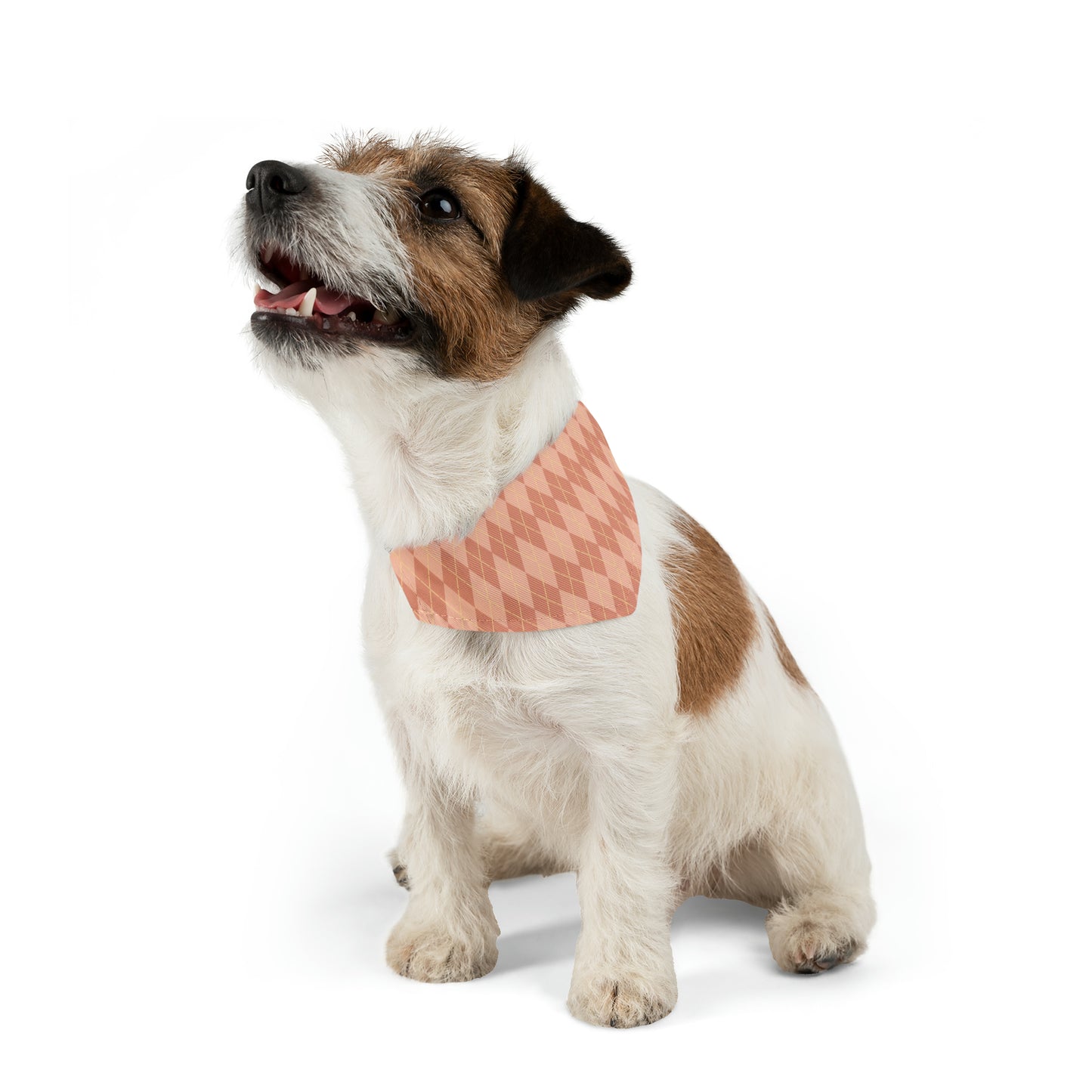 Coral Cascade Pet Bandana Collar