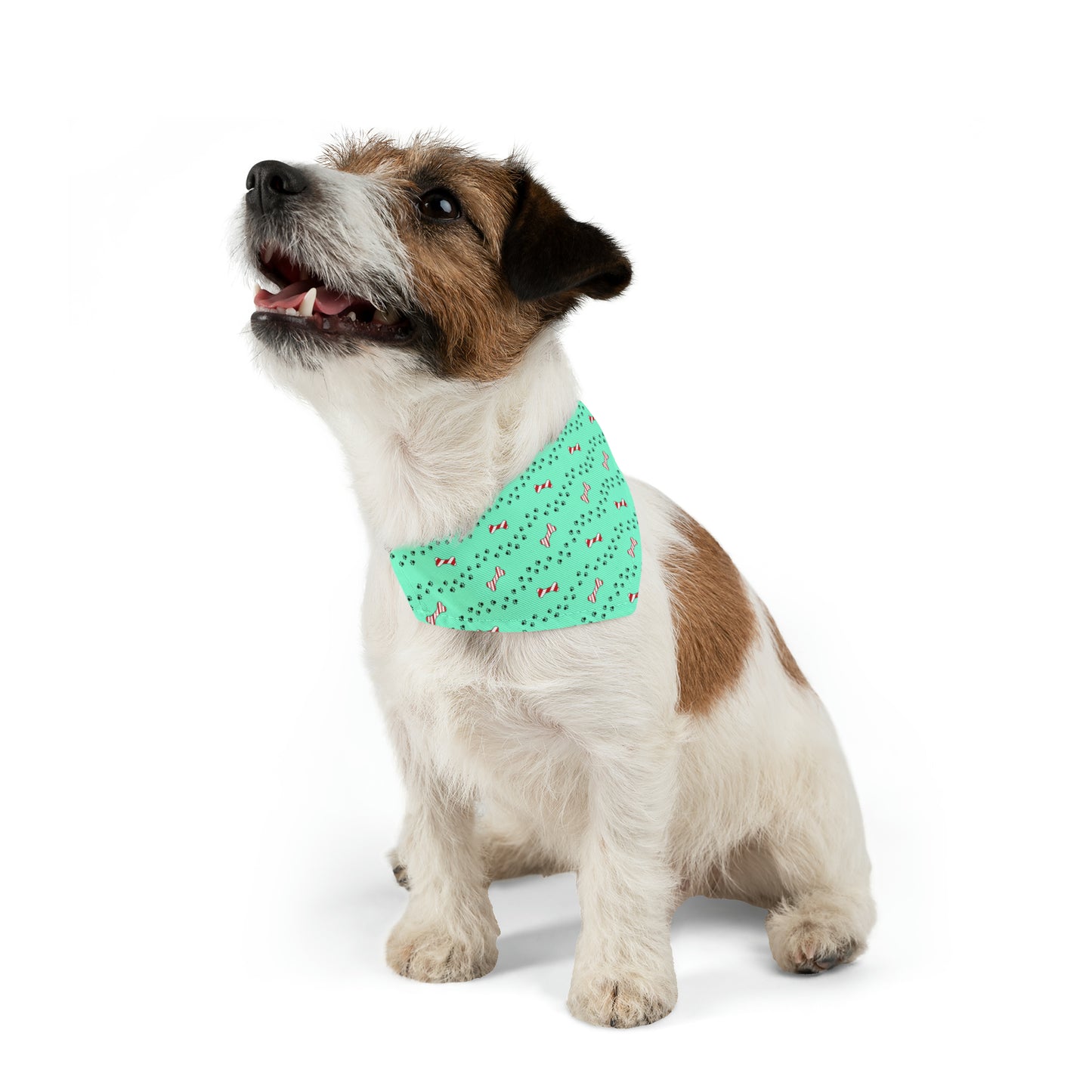 Candy Cane Bone Pet Bandana Collar