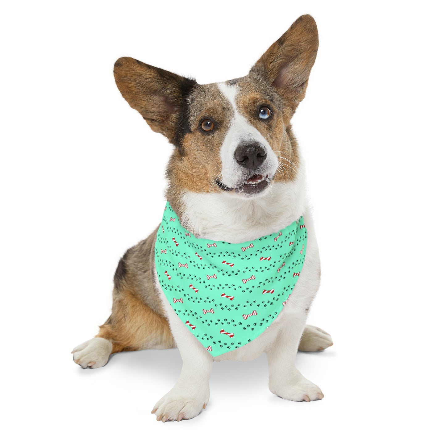 Candy Cane Bone Pet Bandana Collar
