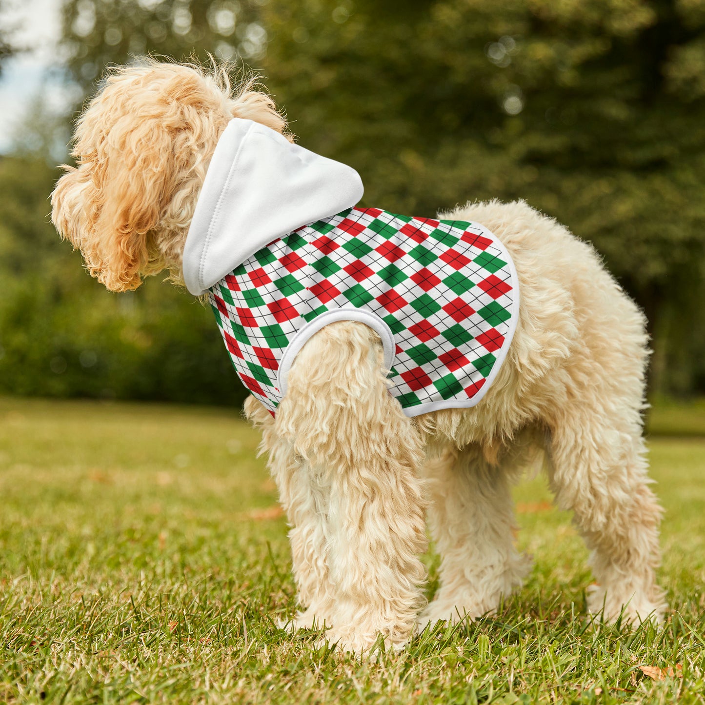 Christmas Argyle Pet Hoodie