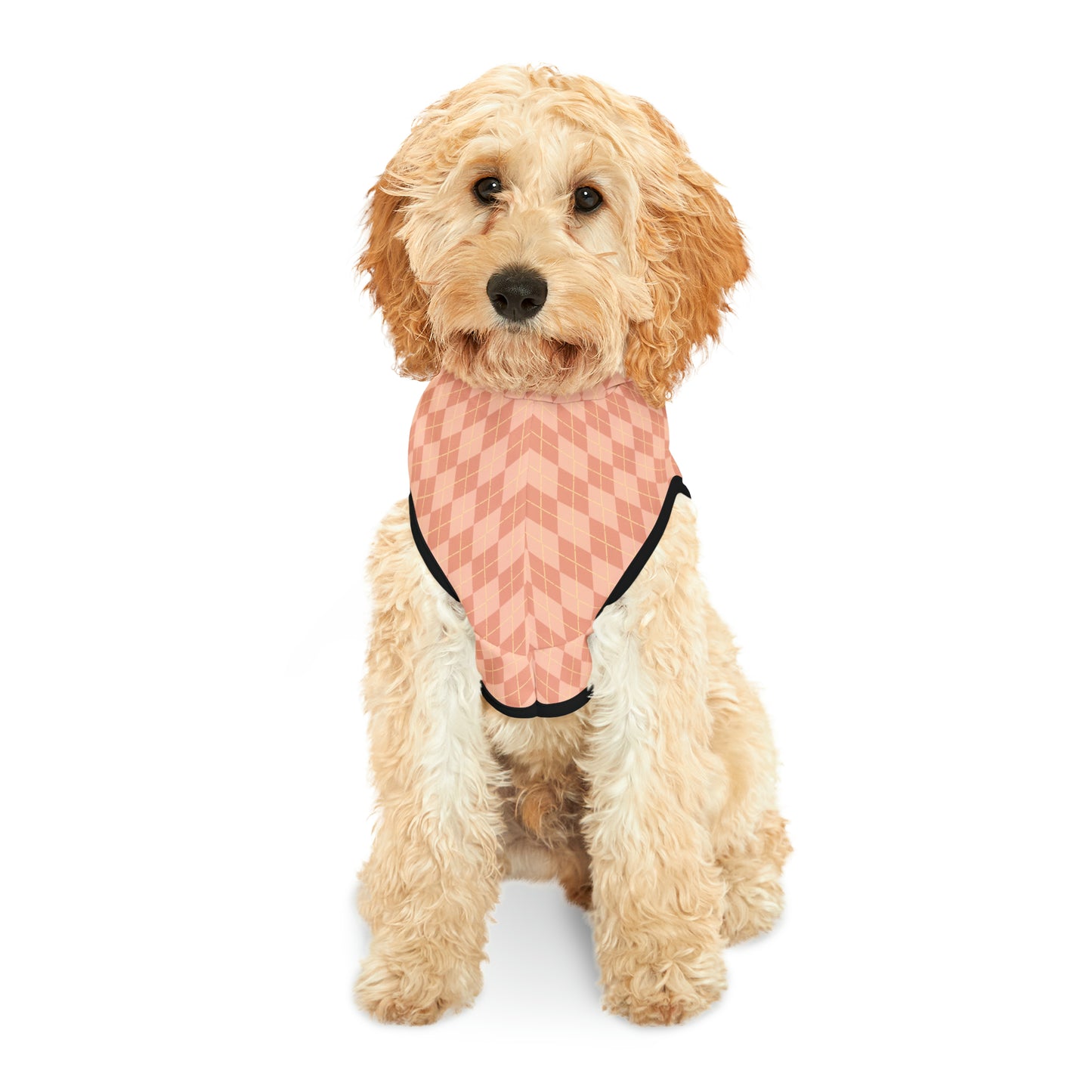 Coral Cascade Pet Hoodie