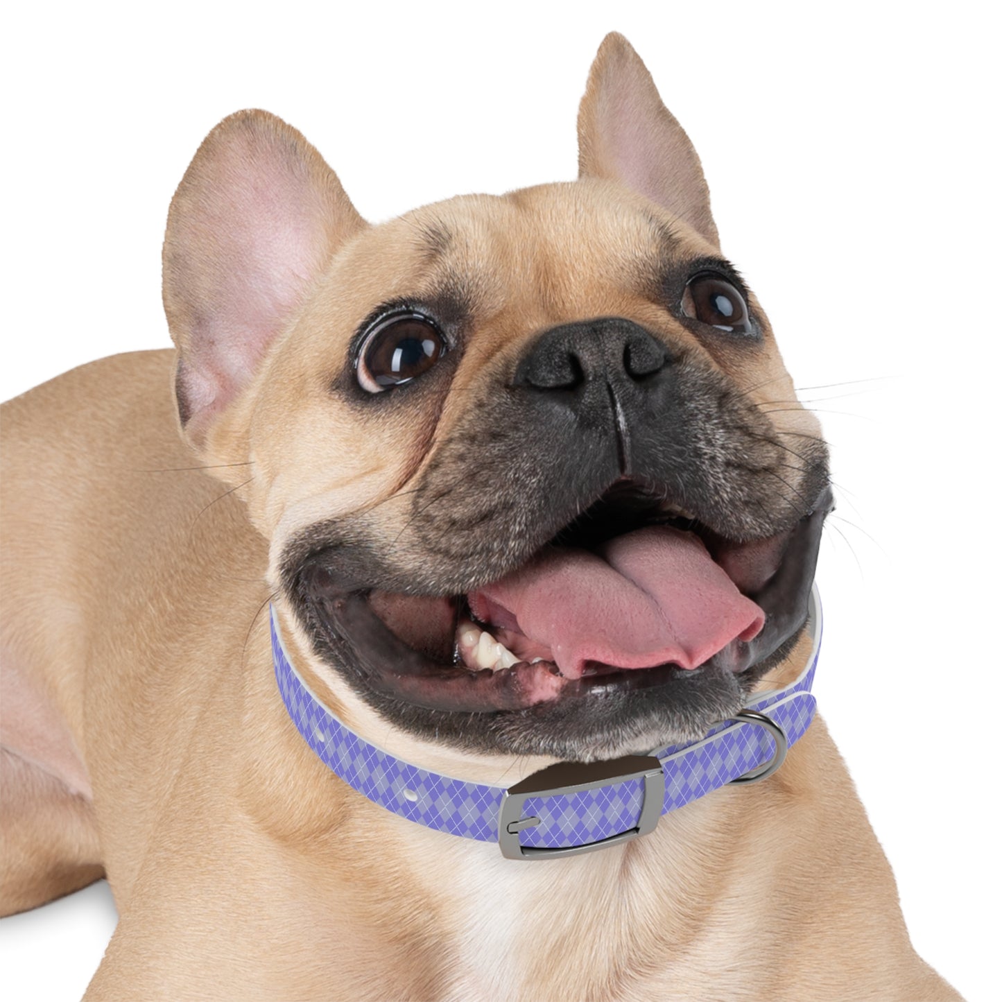 Periwinkle Dreams Dog Collar