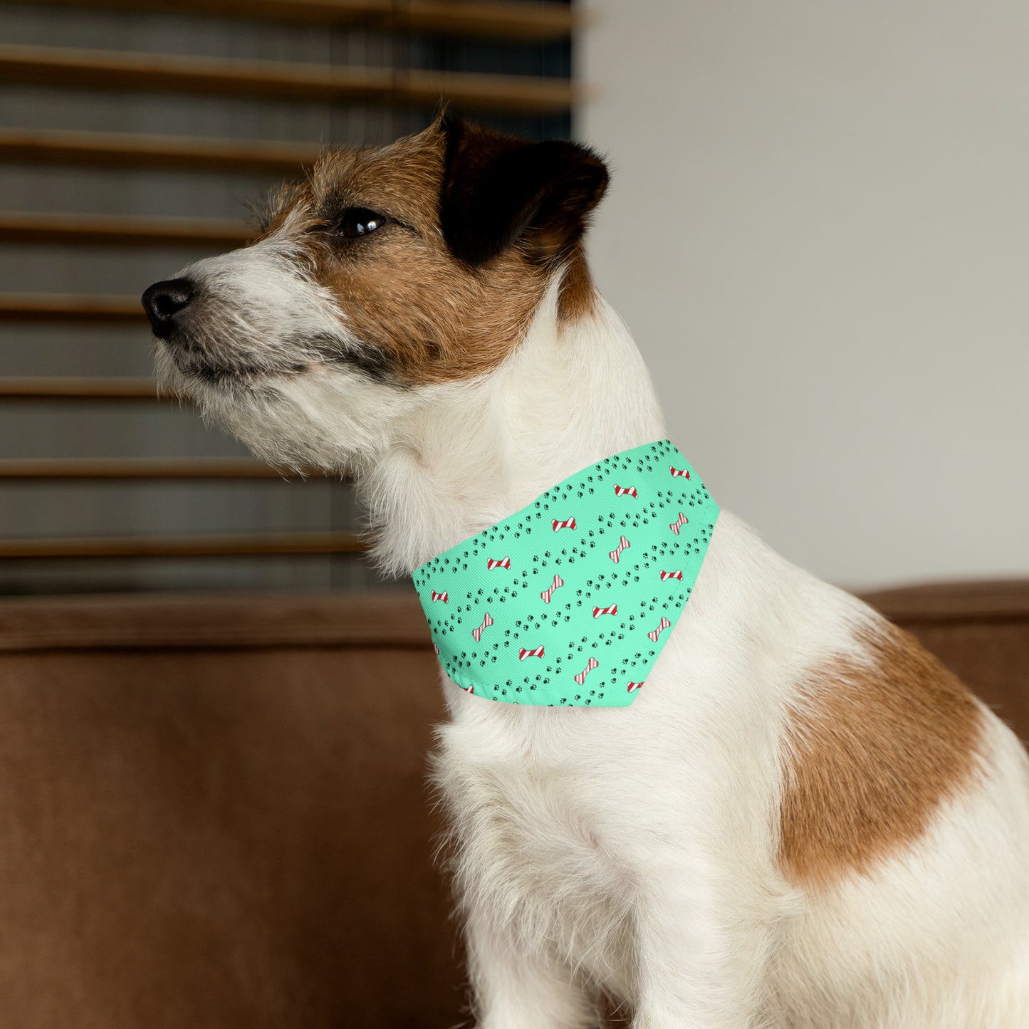 Candy Cane Bone Pet Bandana Collar