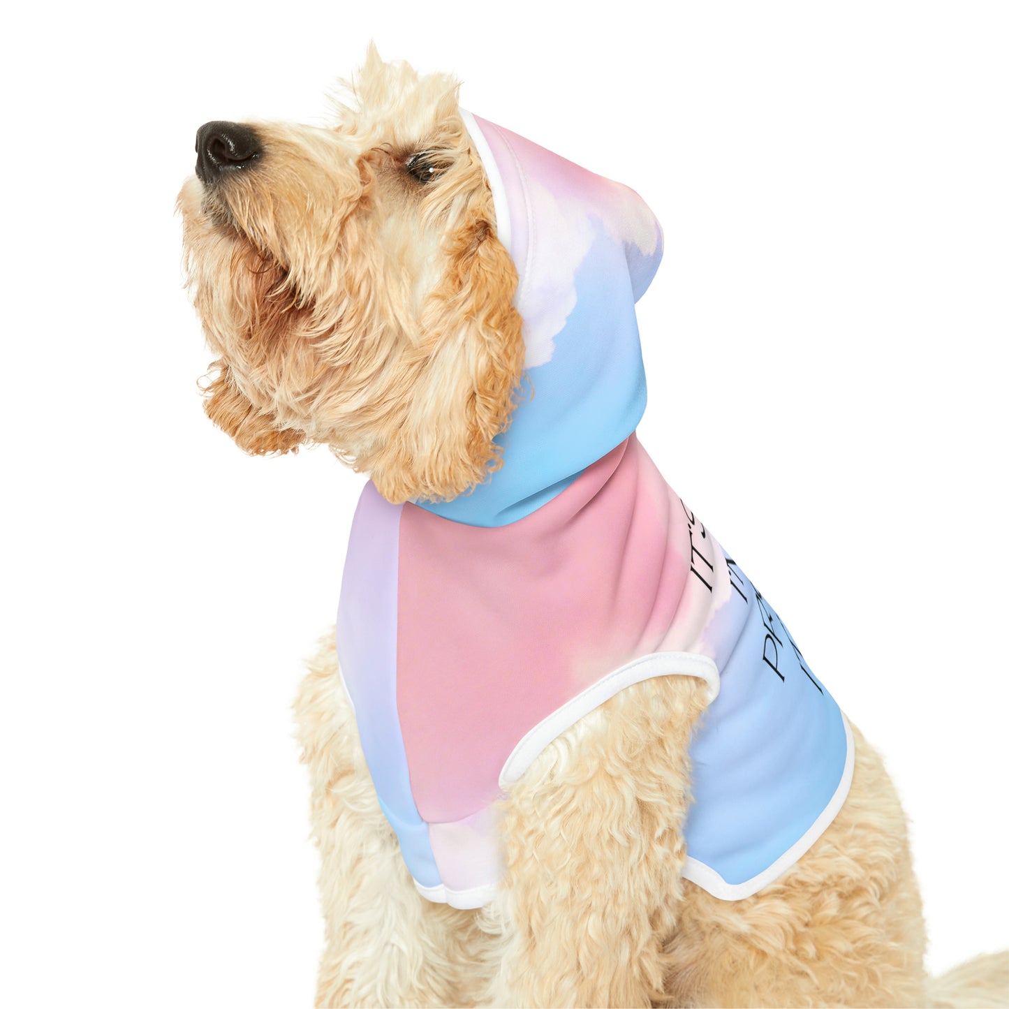Swiftie-Inspired Pet Hoodie