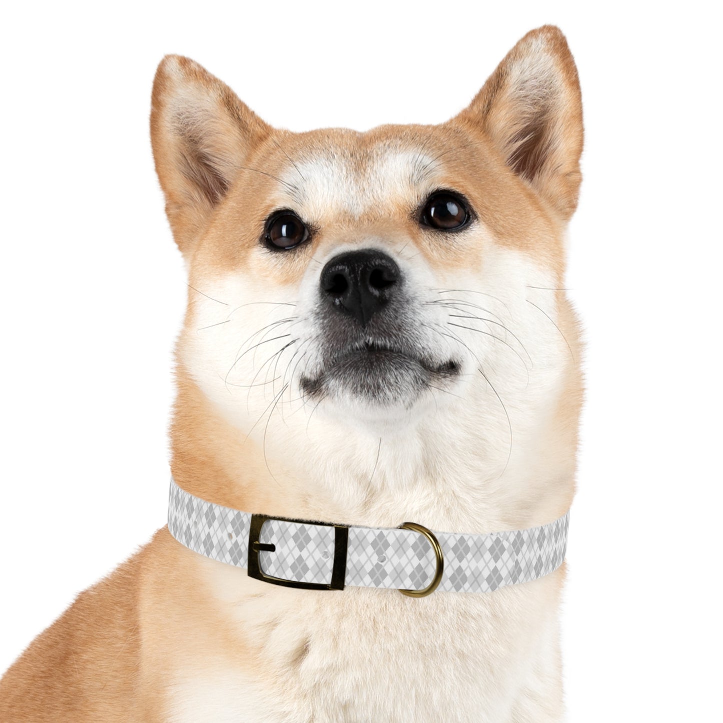 Soft Silver Dog Collar