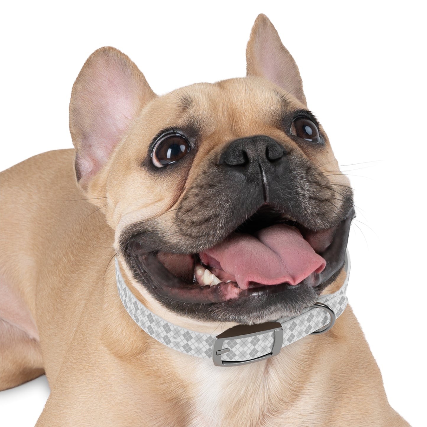 Soft Silver Dog Collar