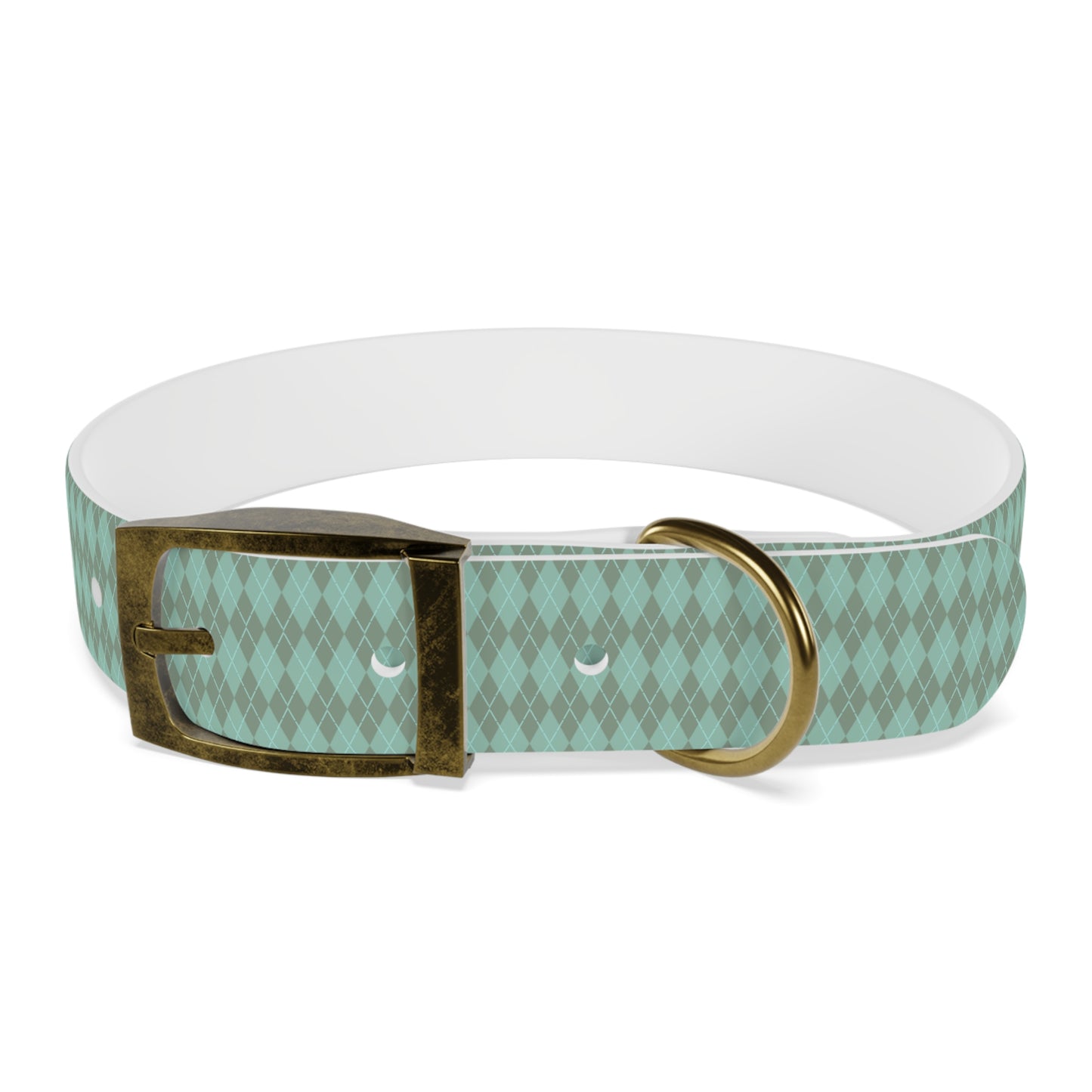 Matching Mint Dog Collar