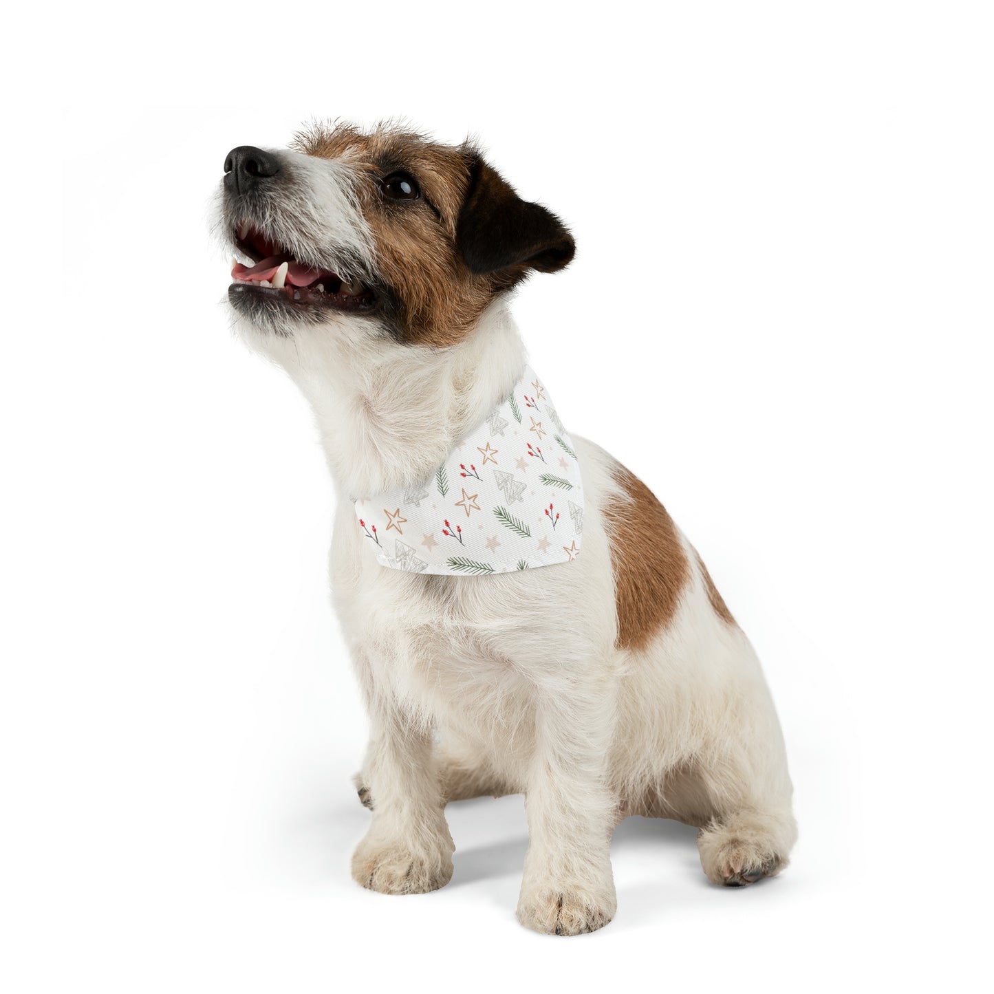 Rustic Holiday Pet Bandana Collar