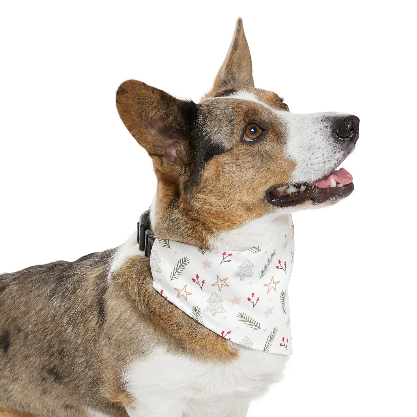 Rustic Holiday Pet Bandana Collar