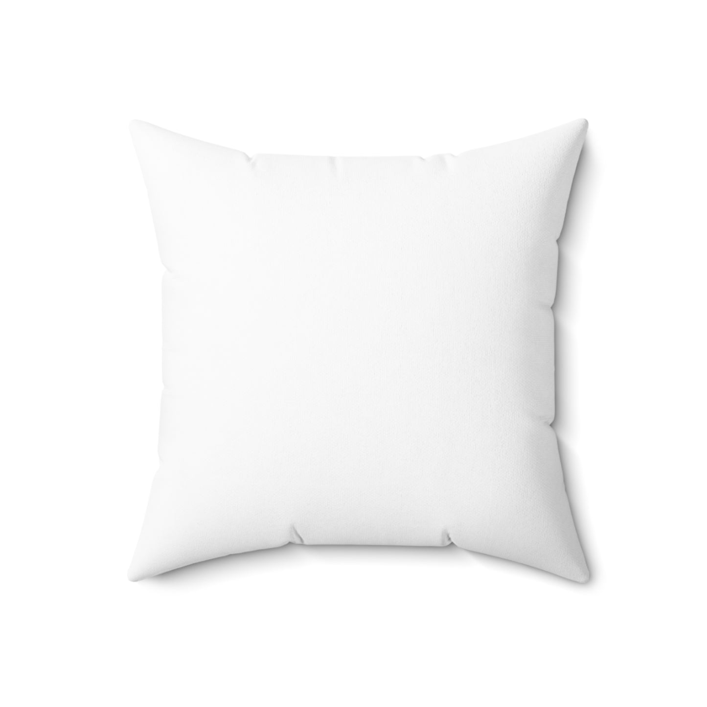 Cat Hair Decorative Pillow