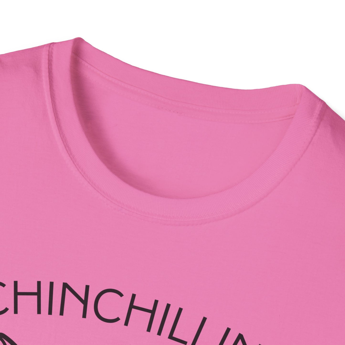 Chinchillin' Like a Villain Unisex T-shirt